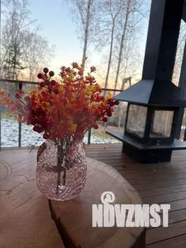 Дом 50м², 1-этажный, посуточно,