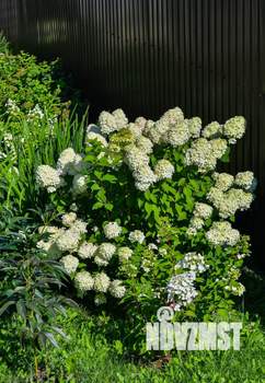 Дом 200м², 2-этажный, посуточно,