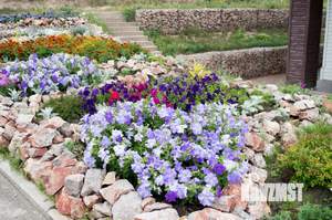 Дом 200м², 2-этажный, посуточно,