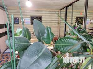 Дом 120м², 1-этажный, посуточно,