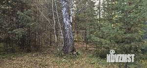 Дом 45м², 1-этажный, участок 12 сот.