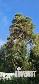 Дом 45м², 1-этажный, участок 12 сот.