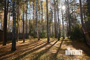 Дом 150м², 2-этажный, участок 21 сот.