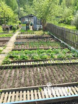 Дом 24м², 1-этажный, участок 8 сот.