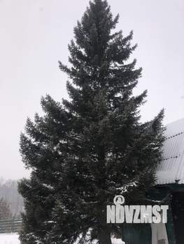 Дом 41м², 2-этажный, участок 4 сот.