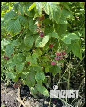 Дом 20м², 1-этажный, участок 10 сот.