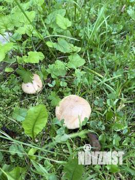 Дом 20м², 1-этажный, участок 8 сот.