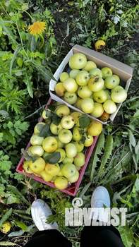 Дом 55м², 1-этажный, участок 7 сот.