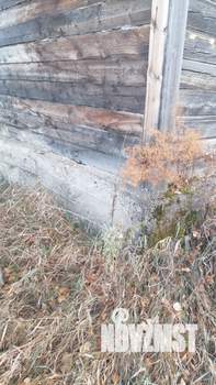 Дача 25м², 1-этажный, участок 8 сот.