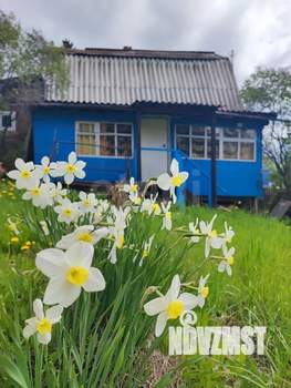 Дом 44м², 1-этажный, участок 5 сот.