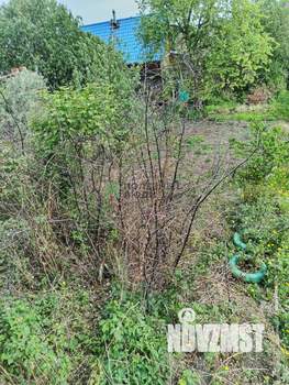 Дом 50м², 1-этажный, участок 5 сот.