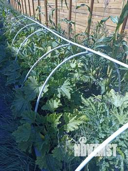 Дом 371м², 2-этажный, участок 12 сот.