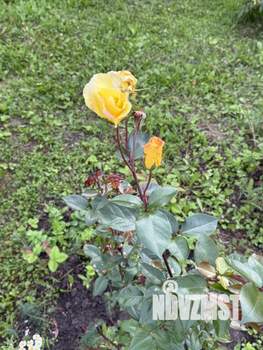 Дом 20м², 1-этажный, участок 8 сот.