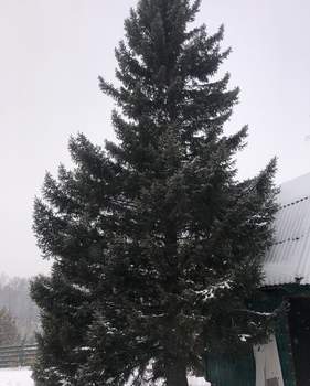 Дом 41м², 2-этажный, участок 4 сот.