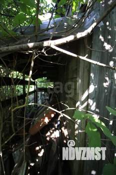 Дом 40м², 1-этажный, участок 4 сот.