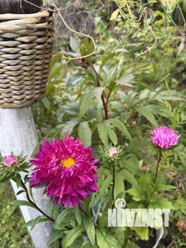 Дом 20м², 1-этажный, участок 8 сот.