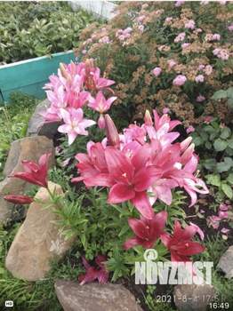 Дом 93м², 2-этажный, участок 6 сот.