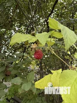 Дом 20м², 1-этажный, участок 8 сот.