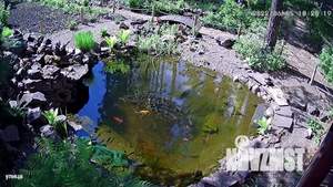 Дом 90м², 2-этажный, посуточно, 