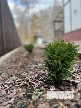 Дом 160м², 2-этажный, посуточно, 