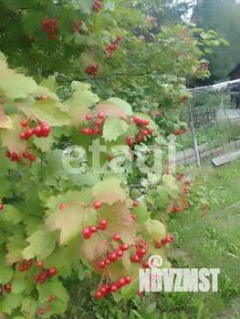 Дом 16м&sup2;, 1-этажный, участок 6 сот.  