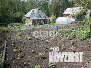 Дом 60м&sup2;, 1-этажный, участок 7 сот.  