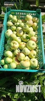 Дом 20м&sup2;, 1-этажный, участок 10 сот.  