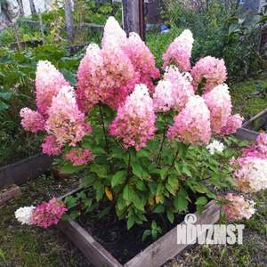 Дом 84м&sup2;, 1-этажный, участок 8 сот.  