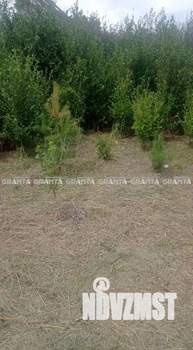 Дом 50м&sup2;, 2-этажный, участок 8 сот.  