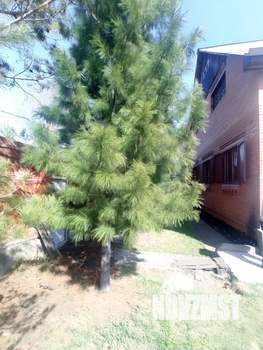 Дом 290м&sup2;, 2-этажный, участок 15 сот.  