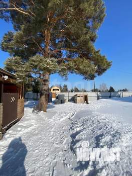 Дом 44м&sup2;, 1-этажный, участок 10 сот.  