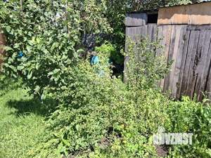 Дом 12м&sup2;, 1-этажный, участок 5 сот.  