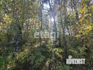 Дом 19м&sup2;, 1-этажный, участок 7 сот.  