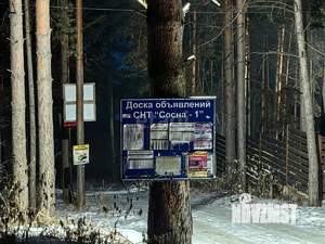 Дом 75м&sup2;, 2-этажный, участок 4 сот.  