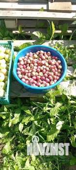 Дом 20м&sup2;, 1-этажный, участок 10 сот.  