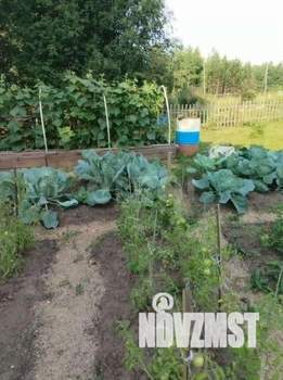 Дом 50м&sup2;, 2-этажный, участок 11 сот.  