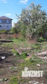 Дом 48м&sup2;, 1-этажный, участок 6 сот.  