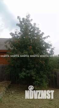 Дом 50м&sup2;, 2-этажный, участок 8 сот.  