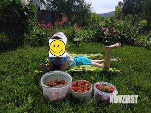 Дача 30м², 1-этажный, участок 8 сот.  