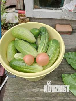 Дом 22м², 2-этажный, участок 5 сот.  