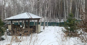 Дом 50м&sup2;, 2-этажный, участок 10 сот.  