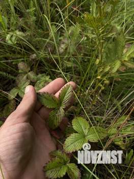 Дом 113м², 2-этажный, участок 1200 сот.  