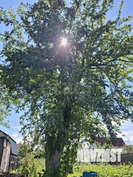 Дом 12м&sup2;, 1-этажный, участок 5 сот.  