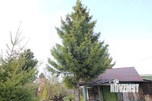 Дом 25м&sup2;, 1-этажный, участок 6 сот.  