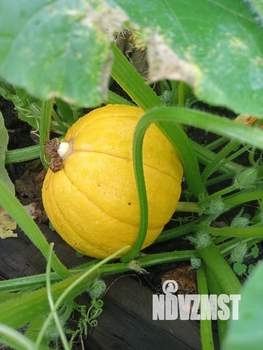 Дом 22м², 2-этажный, участок 5 сот.  