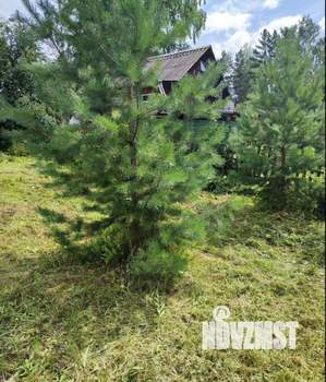 Дом 16м&sup2;, 2-этажный, участок 5 сот.  