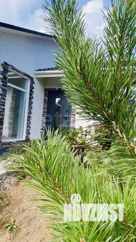 Дом 100м&sup2;, 1-этажный, участок 12 сот.  