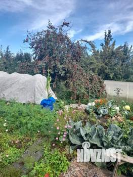 Дом 30м&sup2;, 2-этажный, участок 1 сот.  