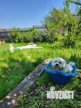 Дом 30м&sup2;, 1-этажный, участок 6 сот.  