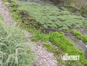 Дом 42м&sup2;, 1-этажный, участок 6 сот.  